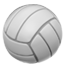 :volleyball: