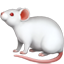 :mouse2: