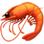 :shrimp: